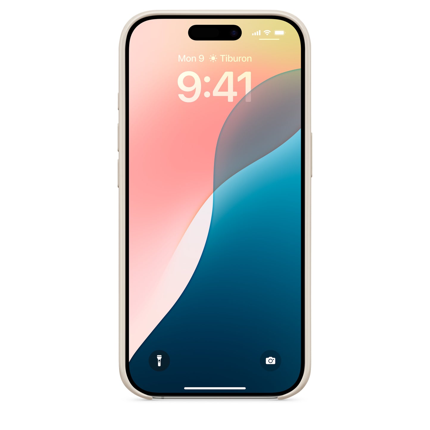 Beats iPhone 16 Pro Max Case mit MagSafe – Gipfelstein
