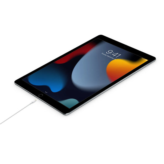 Apple USB-C auf Lightning Kabel (1m) - Bulk